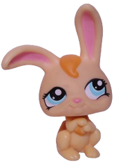#1310 Rabbit